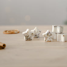 Load image into Gallery viewer, Winter Pine Wax Melts